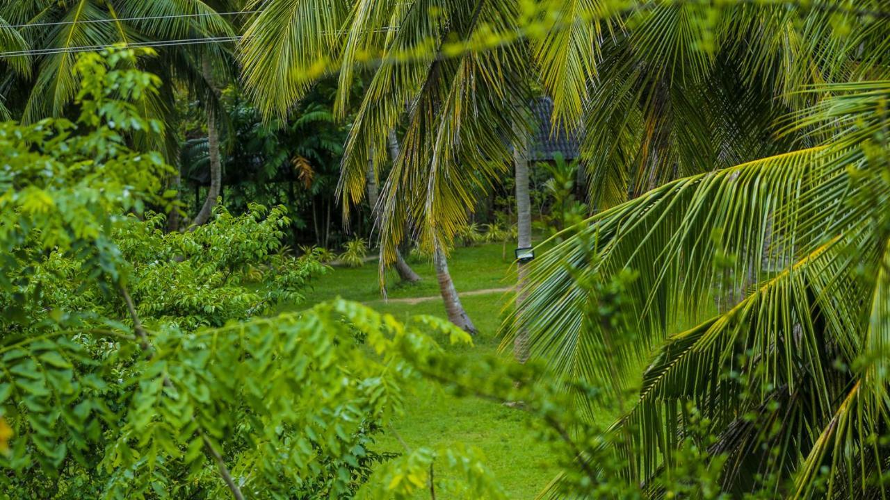 Silver Crown Nature Resort Kombichankulama Exterior foto